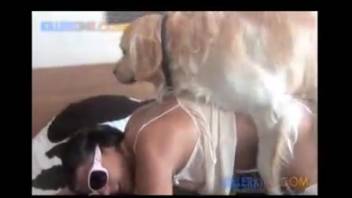 Collection of canine bestiality in doggy position... involving dogs