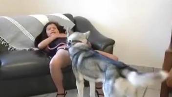 Latina oils herself after getting fucked by a dog