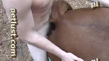 Dirty zoophile dude dominates a gay stallion sexually