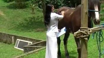 Brunette nurse treating the stallion with oral