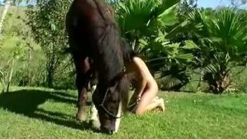 Brunette bangs a big-dicked horse with legs spread
