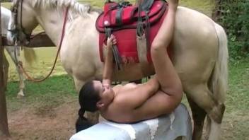 Impressive XXX video with a well-endowed stallion