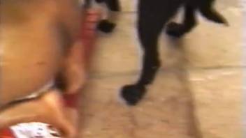 Aroused beast pounding a young woman's dripping wet vagina in this scene