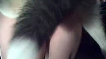 Voluptuous naked woman relishes multiple sessions of sex with her dogs