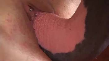 Hispanic woman gets intoxicated and chooses to bang a stud