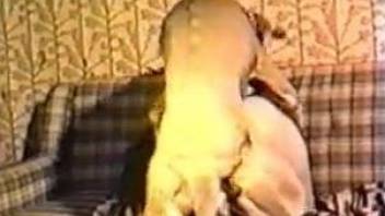 Milf licks and sucks the dog cock before a wild fuck