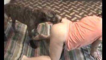 Brunette babe in an orange t-shirt gets fucked by a dog