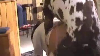 White t-shirt beauty fucks a dog in front of everyone